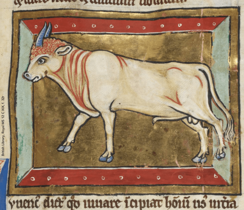 On the bull semen explosion, animal husbandry, and how medieval people were nicer to&nbsp;cows