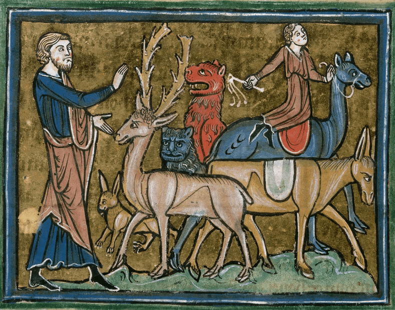 No bestiality was never OK, you absolute rabid&nbsp;weirdo