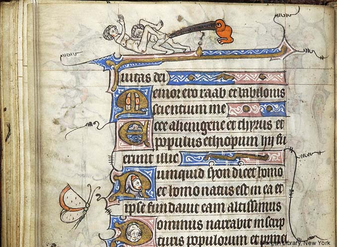 On women’s anatomy and the power of paying&nbsp;attention